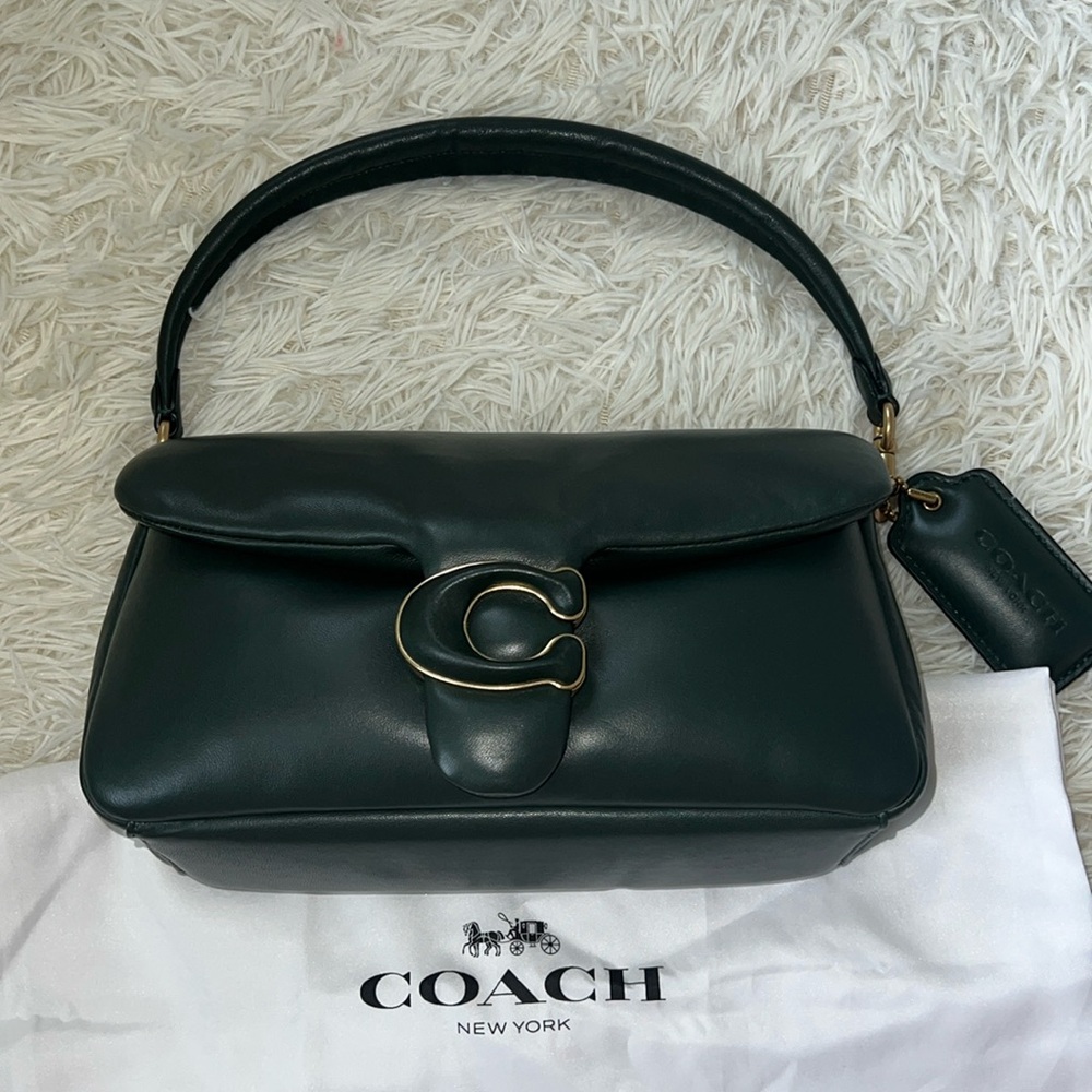 Coach Pillow Tabby
